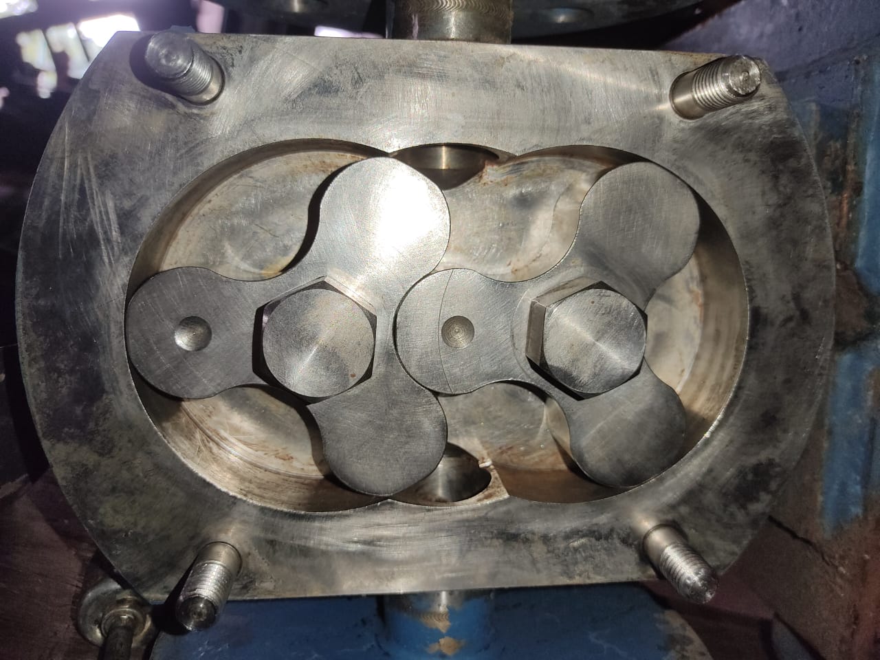 Bomba trasvasadora acero inoxidable conexión bridada de 1 pulgada - Imagen 4